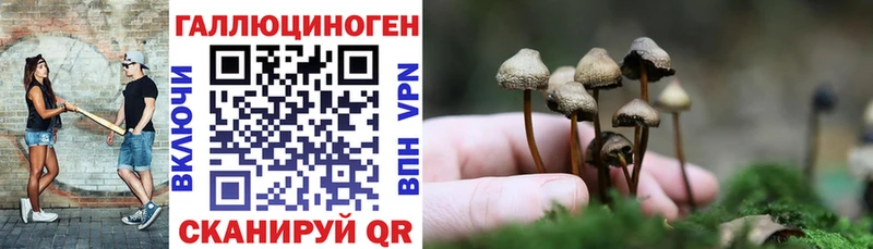 Псилоцибиновые грибы MAGIC MUSHROOMS  Ак-Довурак 